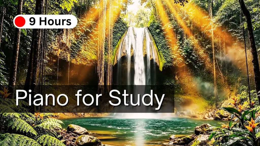 9 Hours of Peaceful Piano for Study, Stress Relief & Focus | CALM 4