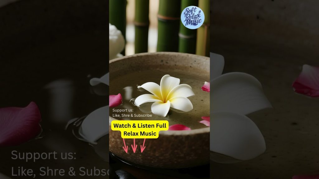 2 Hours of Calming SPA Soundscapes for Sleep and Total Anxiety Relief    #meditationmusic #relaxing