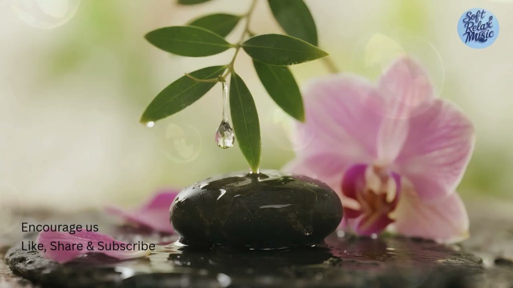 The Ultimate 2 Hour SPA Music Experience for Deep Relaxation and Healing