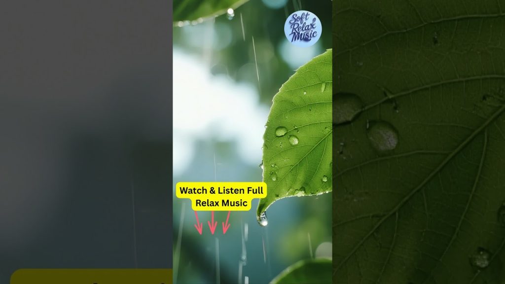 One Minute of Pure Calm – Soft Piano Melodies