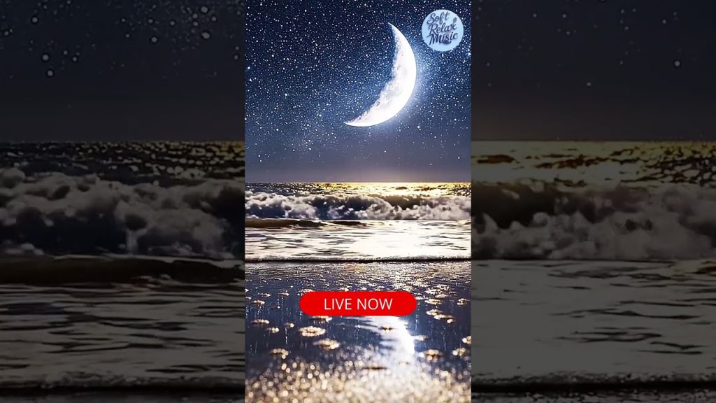 Anxiety Relief Moonlight Waves #moonlightambience #moonlightmusic