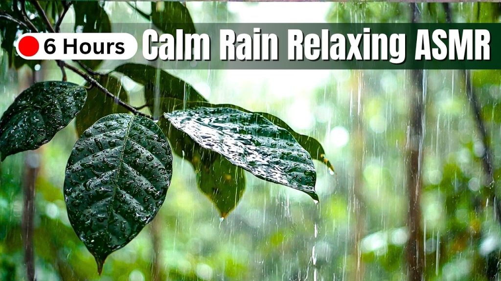 I Tried Sleeping in a Bali Jungle Calm Rain Relaxing ASMR