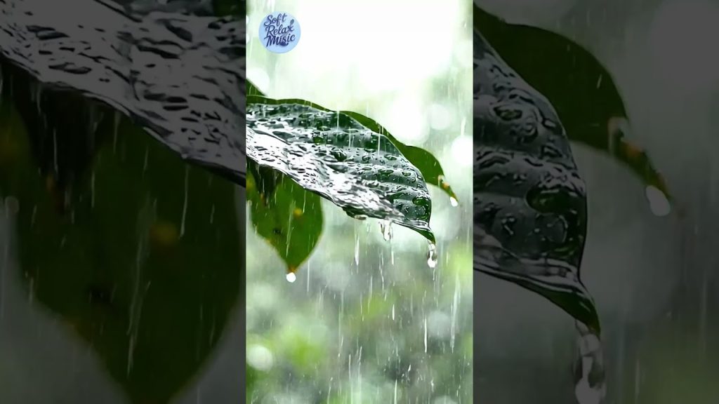 Pure ASMR Relaxing Rain Sound