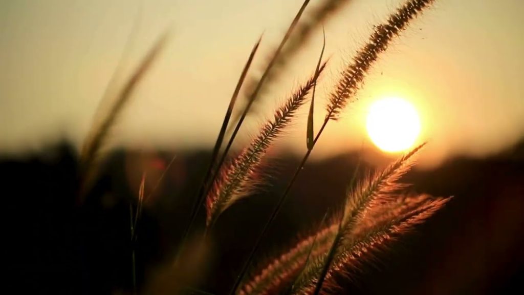 Discover the BEST 2 Hour Stress Relief Music for Sleep and Anxiety #sleepmusic #anxietyrelief